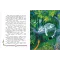Детская книга "Сергеев. Дикая кошка" - 721 руб. Серия: Самый лучший подарок , Артикул: 5900021