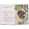 Детская книга "КзК Мамин-Сибиряк. Алёнушкины сказки (тверд переплет)" - 366 руб. Серия: Книга за книгой , Артикул: 5400504