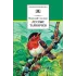 Детская книга "ШБ Сладков. Лесные тайнички" - 575 руб. Серия: Школьная библиотека, Артикул: 5200133
